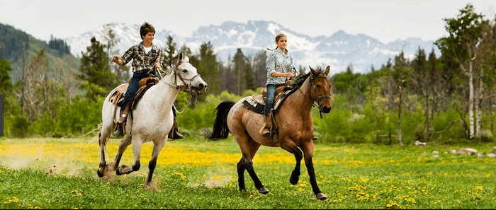 Confident plus-size woman riding Arnold a horse through a field with a smile on her face.